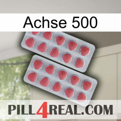 Axcil 500 19